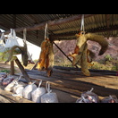 Was man so alles kaufen kann …